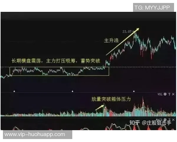 海斯谈比赛节奏：坚持日常训练与后卫配合是我的秘诀